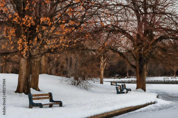 Obraz Quiet pond and park landscape