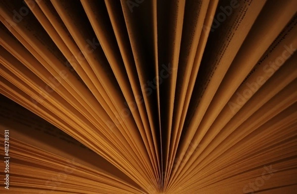 Fototapeta Abstract photo of book pages in the dark