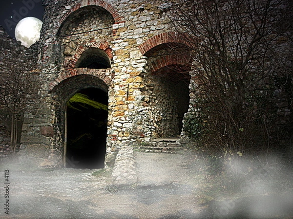 Obraz Le vieux château