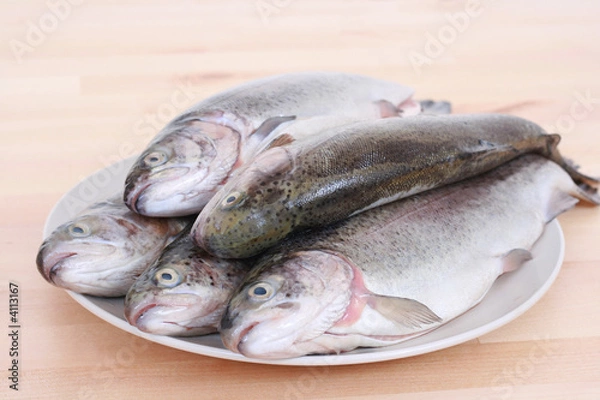 Fototapeta rainbow trouts