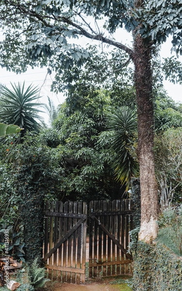 Obraz trees and gate