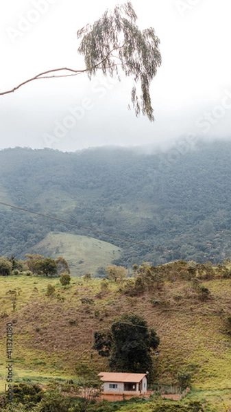 Obraz tree on the hill