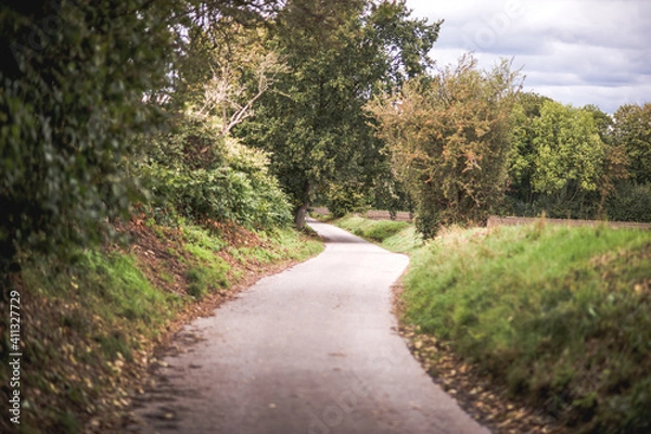 Obraz Country road II