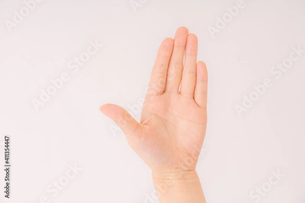 Fototapeta 手　ジェスチャー 