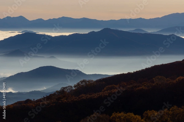 Fototapeta 鳥海山から望む朝焼けの雲海と紅葉