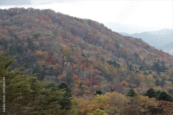 Fototapeta 群馬県鹿沼市の横根高原
