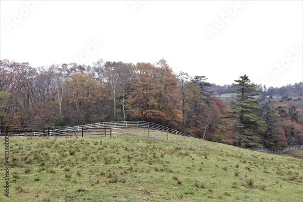 Fototapeta 群馬県鹿沼市の横根高原