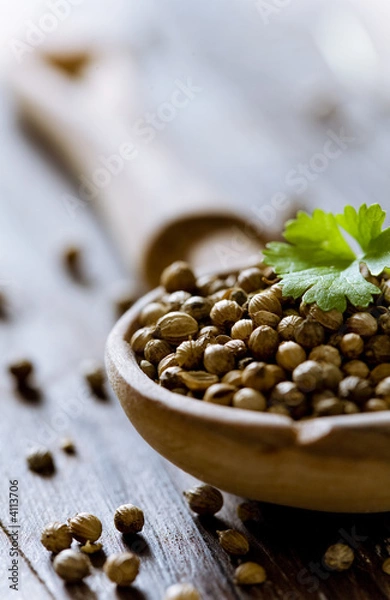 Obraz nasiona kolendry