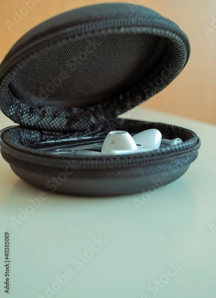 Obraz earphone  in case