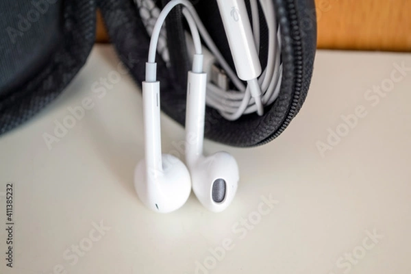 Obraz earphone  in case