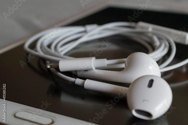 Obraz Earphone 