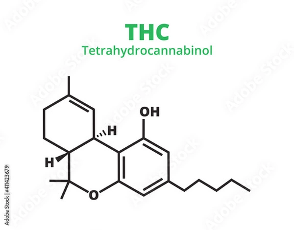 Fototapeta Vector chemical structural formula of tetrahydrocannabinol – THC molecule isolated on a white background. Chemical icon of cannabis Sativa, marijuana. Psychoactive drug used for recreational purposes.