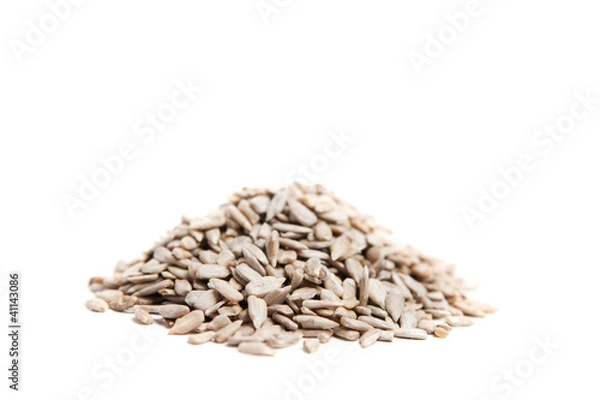 Obraz Sunflower Seeds