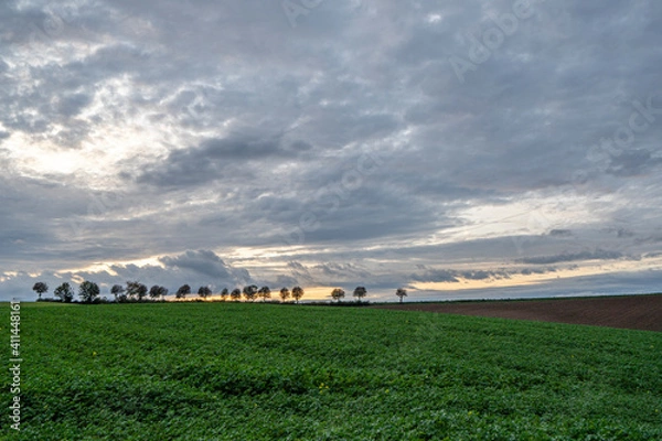 Obraz Agrarlandschaft
