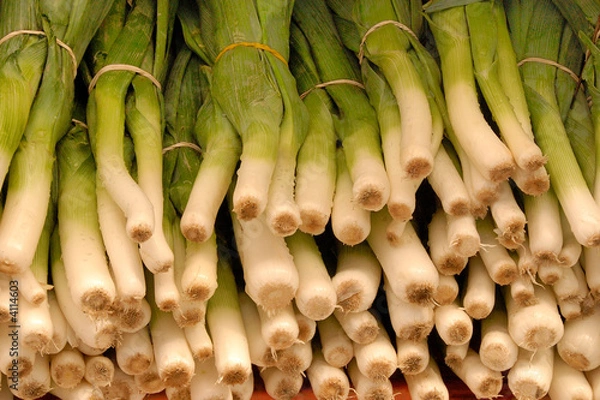 Obraz Green onions