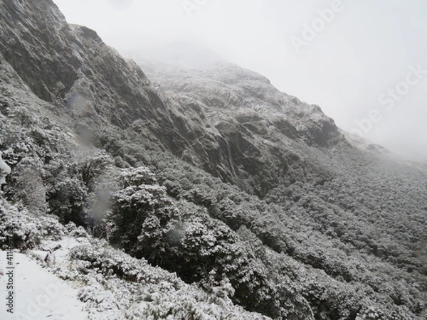 Obraz Winter Wonderland