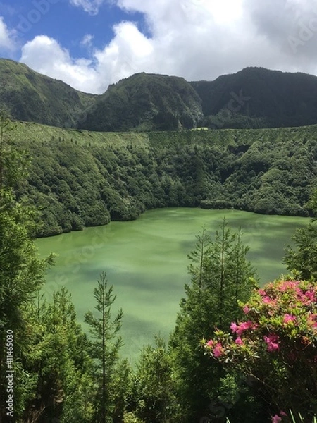 Obraz Berg- und Waldsee
