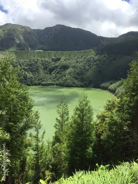 Obraz Berg- und Waldsee
