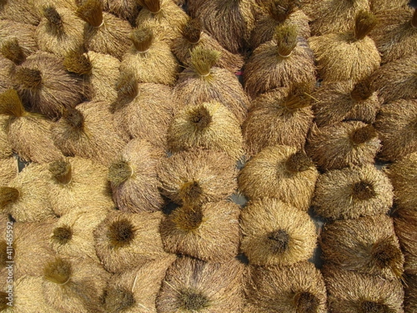 Obraz Gebundenes Stroh