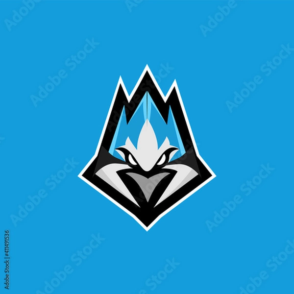Obraz blue jay bird color head mascot logo icon designs vector illustration