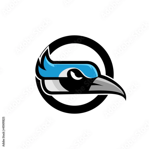 Obraz blue jay bird color head mascot logo icon designs vector illustration