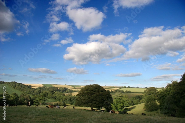 Obraz view over fields