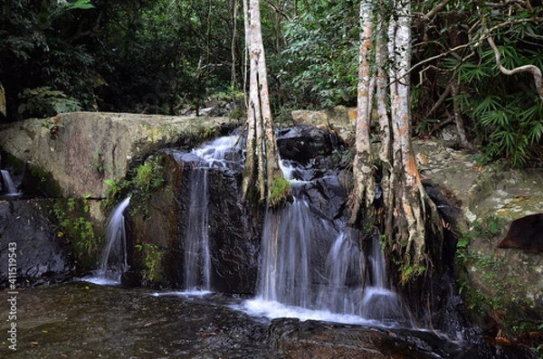 Fototapeta Forest landscape with a waterfall and old trees growing on the stones