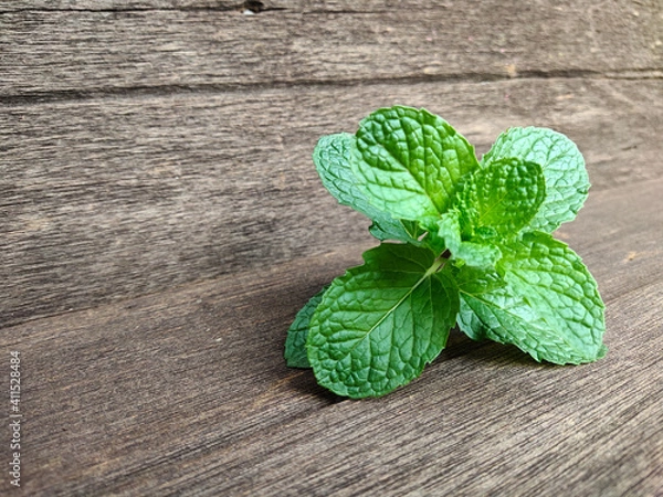 Obraz fresh mint on wooden background