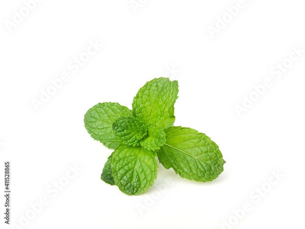 Fototapeta mint isolated on white background