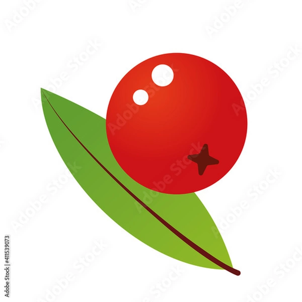 Obraz Composition of rowan berries and leaves. Vector illustration isolated on white background. Mountain ash summer design. Gradient fill