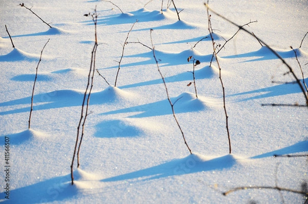 Fototapeta Branches of plants and their shadows on white snow