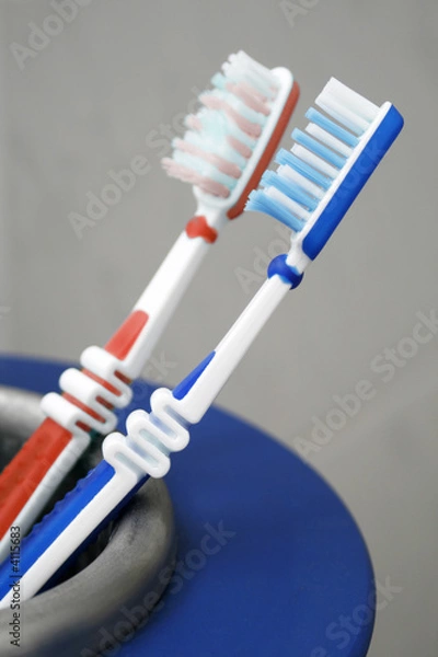 Fototapeta Zahnbürsten