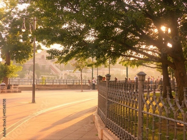 Obraz walk in the park