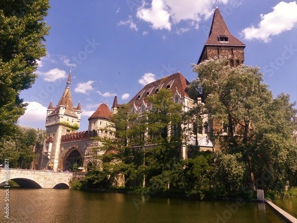 Obraz castle in the woods