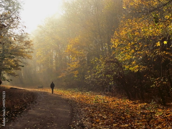 Obraz person walking in park