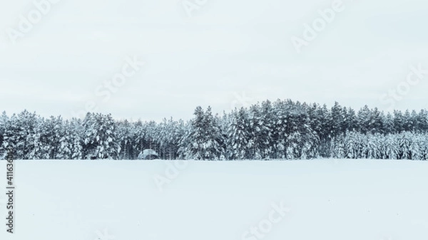 Obraz Zimowe podróże 