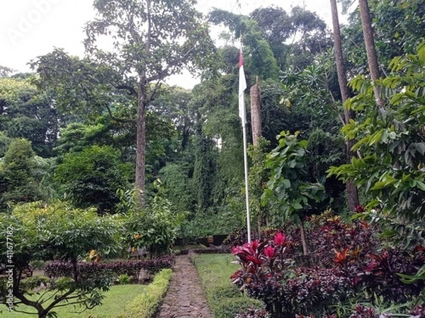 Obraz A Path inside the forest