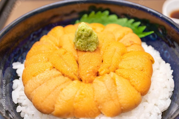 Obraz 新鮮な雲丹がたっぷり載ったうに丼