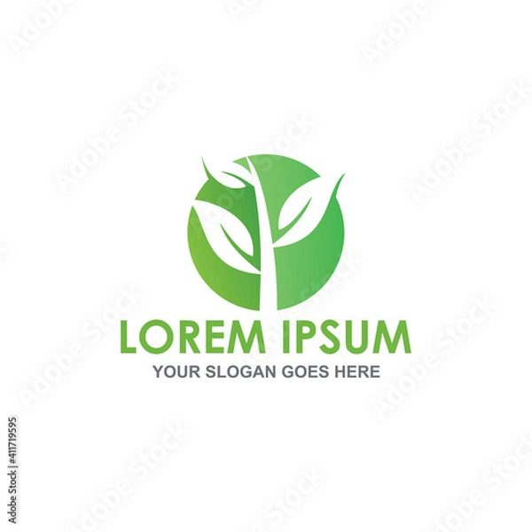 Obraz leaf nature vector , natural logo