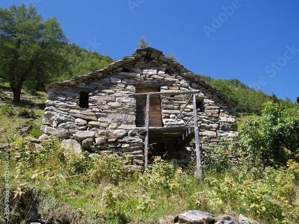 Fototapeta OLYMPUS DIGITAL CAMERA