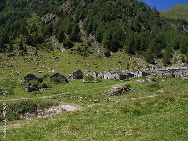 Fototapeta OLYMPUS DIGITAL CAMERA