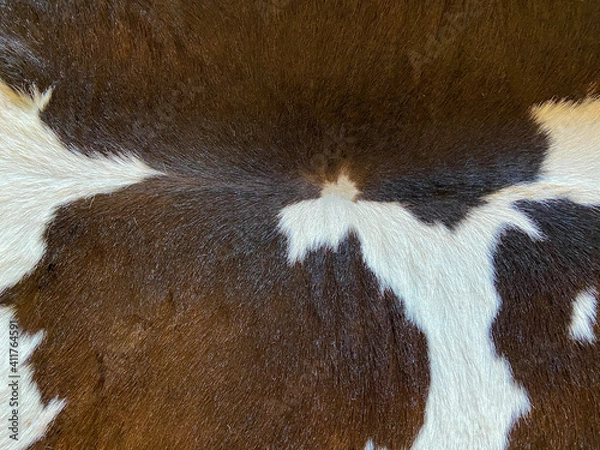 Obraz Cow hair can be used as a background for your work.