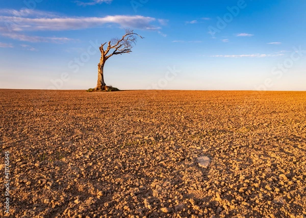 Fototapeta Dry lands