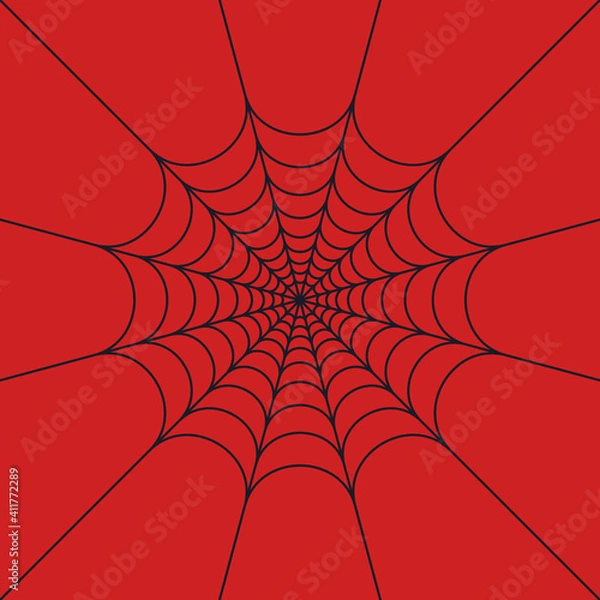 Obraz Spider web
