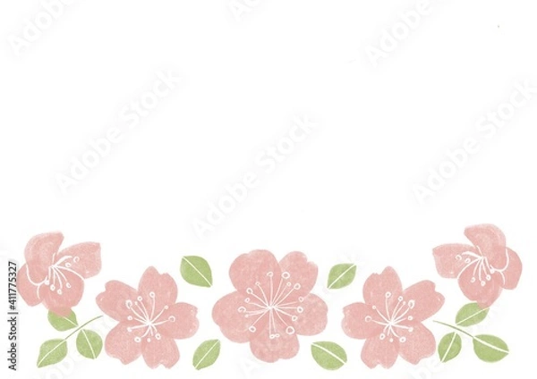 Fototapeta 桜のカード
