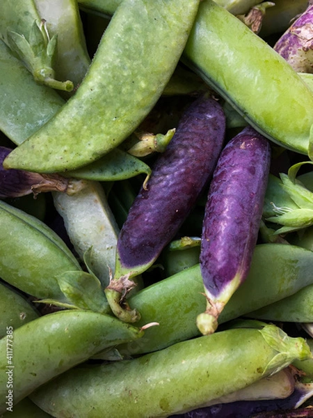 Obraz Fresh green and red shell peas in pods closeup, top view.