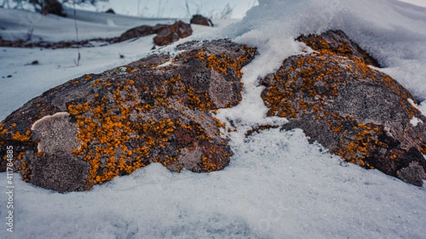 Obraz snow on the mountain
