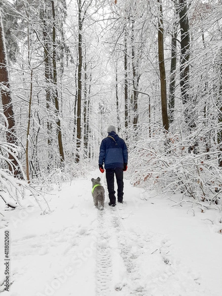 Fototapeta Mężczyzna idzie z psem w lesie zimą