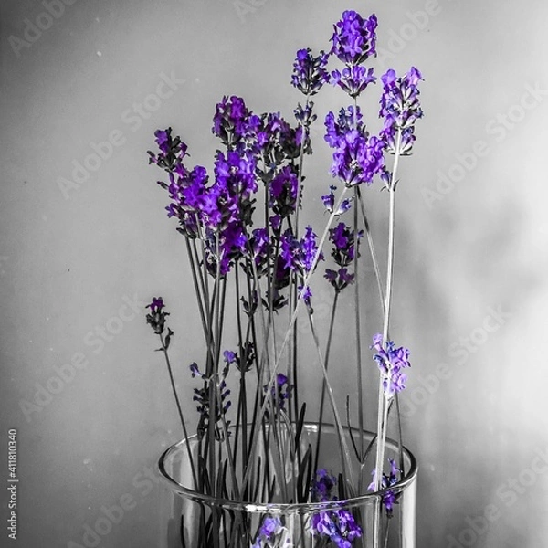 Obraz Lavender in a vase