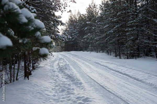 Fototapeta Winter with a lot of snow, forest with a road